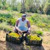 GALE WADE FARMER - @gale.wade.farmer - TikTok
