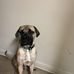 Gale Walls - Facebook