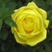 Gale Watkins - Facebook