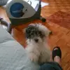 galelopeswebb - @galelopeswebb - TikTok