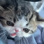 gale williamson - @gale__williamson - Instagram