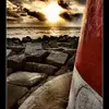 galenthewise - @galenthewise - TikTok