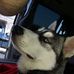 Galen Larson - Facebook