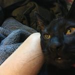 Galen Moore - @galen.e.moore - Instagram