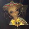 Glen-Wayne - @glen_wayne - TikTok
