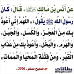 Galia Ali - Facebook