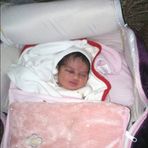 Galia Ali - Facebook