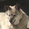 gail.a.white - @gail.a.white - TikTok