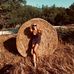 Galia White - Facebook