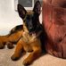 Alvaro Galisia - Facebook