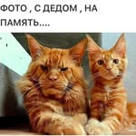 Galina Chernova - @galinachernova2115 - Instagram