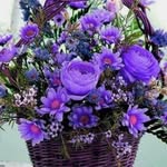 Galina - @galina.davis48 - Instagram
