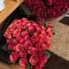 Galina - @galinadubnicenkov6 - TikTok