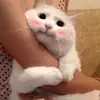 Galina Kushnir - @galinakushnir - TikTok