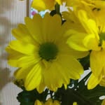 Galina Radchenko - @grad135790 - Instagram