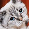 galinaradchenko27 - @galinaradchenko27 - TikTok