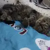 Galina Romanova - @galinaromanova2 - TikTok