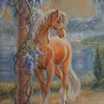 Galyna Schaefer - Facebook
