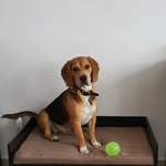 Galo Guzmán - @galo_grrr - Instagram