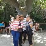 Galo Rene Castro Guzman - @galorenecastroguzman - Instagram