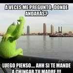 Jaime Galvan - @jaimechowis1234 - Instagram