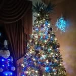 Galvin Williams - @galvin.williams.1217 - Instagram