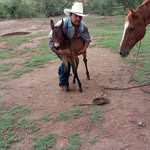 Gamaliel Perez - @gamaliel5301 - Instagram