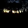 Gamaliel perez - @gamalielperez80 - TikTok