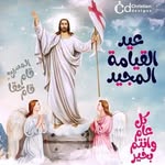 Gamil Soliman - @gamil2239 - Instagram