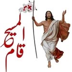 Gamil Soliman - @gamilsoliman - Instagram