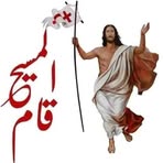 Gamil Soliman - Facebook