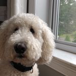 Chauncey Gardner-Johnson - @ddhbstibfujfd - Instagram
