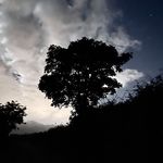 Gareth Adams - @gareth.adams.96 - Instagram