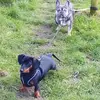 Gareth Anderson - @gareth.anderson934 - TikTok