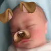 garethbarr1 - @garethbarr1 - TikTok