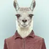 garethsfarmer - @garethsfarmer - TikTok