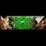 Gareth Harvey - @brutishospreyminipainter - Instagram