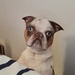 Gareth Harvey - @harveymoon74 - Instagram