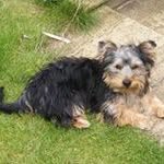 Gareth Long - @gava_uk_1 - Instagram