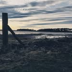 Gareth Long - @gareth.long.3 - Instagram