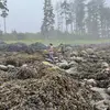 gareth middleton - @gareth.middleton7 - TikTok