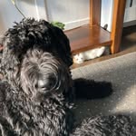 Gareth Murray - @garethmurray27 - Instagram