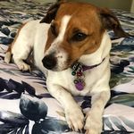 Gareth Murray - @garethwrightmurray - Instagram
