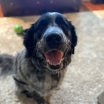 Gareth Murray - @notsoflybiguy - Instagram