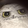 garethpearce79 - @garethpearce79 - TikTok