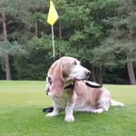 Gareth Pearson - @gareth.pearson.315 - Instagram