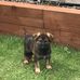 Gareth Pritchard - Facebook