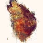 Gareth Sinclaire - @garethsinclaire - Instagram