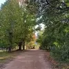 Gareth Wilkinson090781 - @gareth.wilkinson00 - TikTok