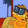 Garfield - @garfieldsbeach - TikTok